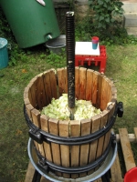 Appelwein 2008